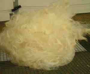 fluffy fiber