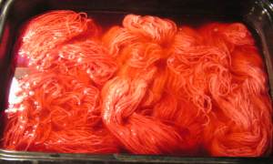 red dye bath
